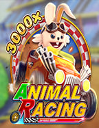 วิธีเล่น บา คา ร่า สูตร ฟรี แบบคนรู้จริง 555